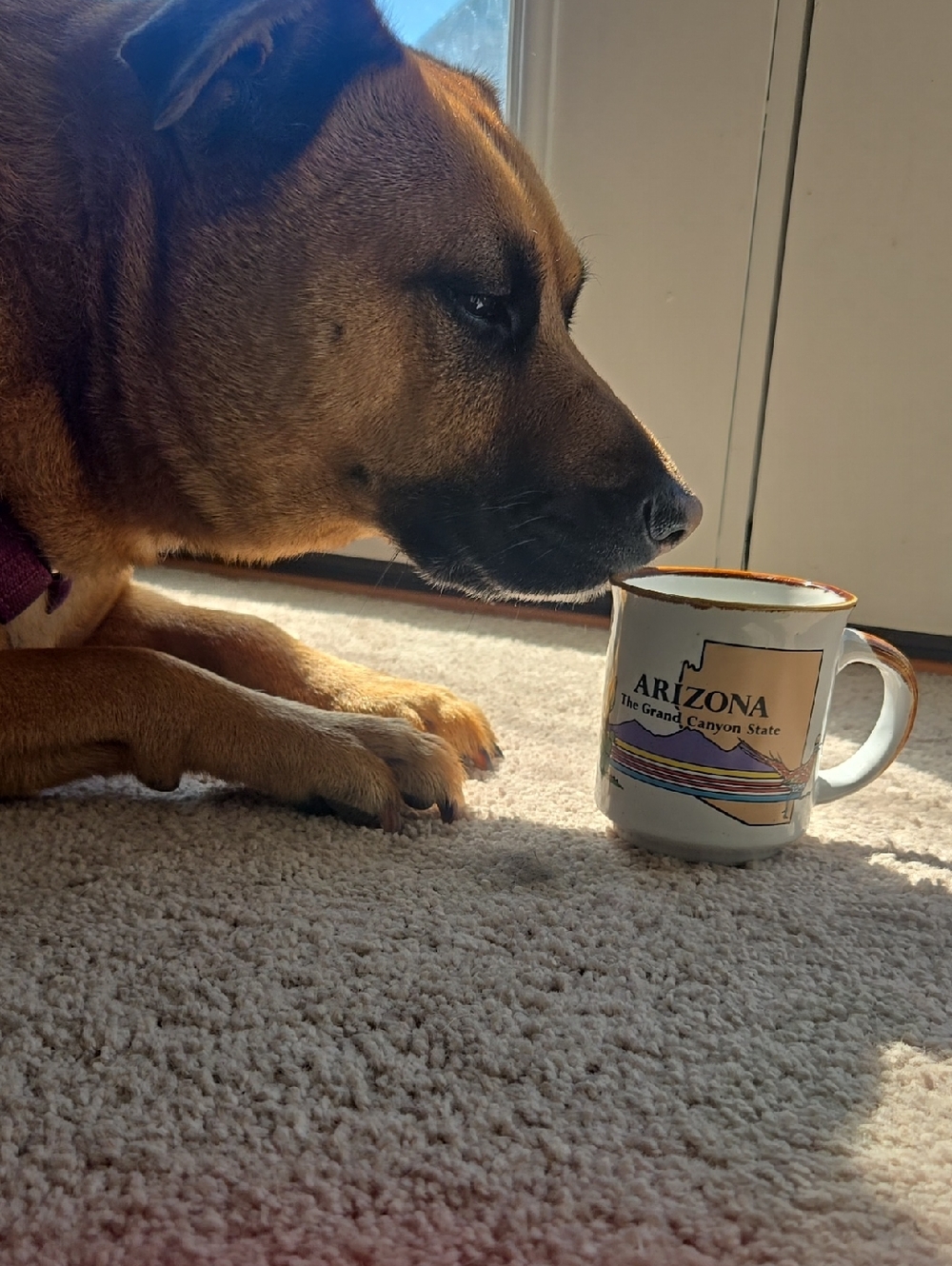 Vintage Arizona The Grand Canyon State Stone Ware Mug